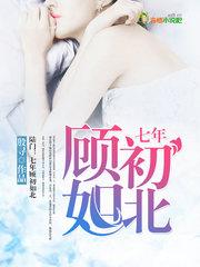 陆门七年顾初如北