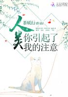 人类你引起了我的注意