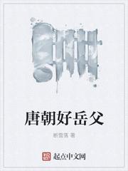 唐朝好岳父