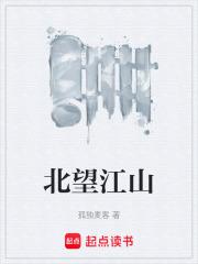 北望江山