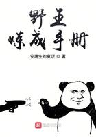 野王炼成手册
